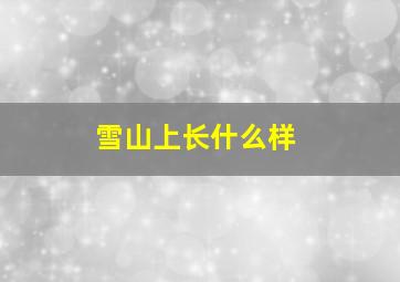 雪山上长什么样