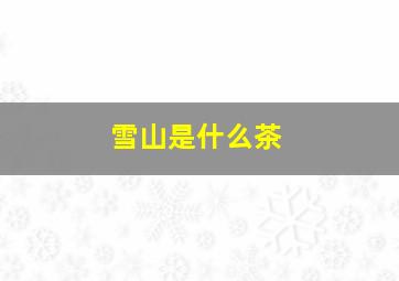 雪山是什么茶