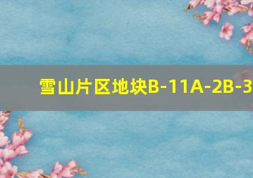 雪山片区地块B-11A-2B-3