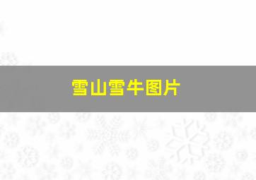 雪山雪牛图片