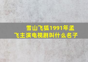 雪山飞狐1991年孟飞主演电视剧叫什么名子