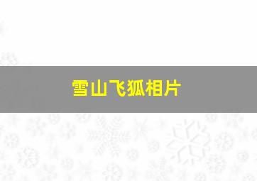 雪山飞狐相片