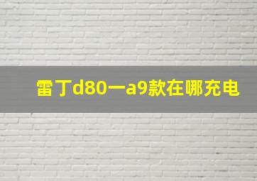 雷丁d80一a9款在哪充电