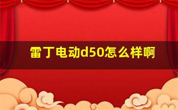 雷丁电动d50怎么样啊