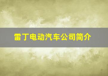 雷丁电动汽车公司简介