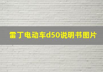 雷丁电动车d50说明书图片