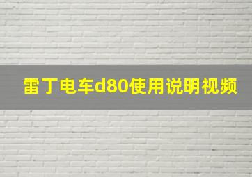 雷丁电车d80使用说明视频