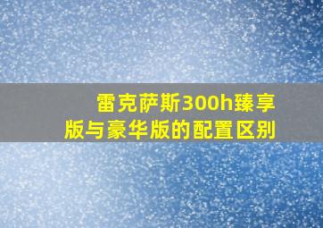 雷克萨斯300h臻享版与豪华版的配置区别