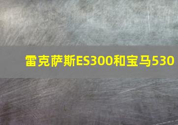 雷克萨斯ES300和宝马530