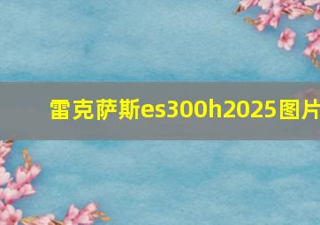 雷克萨斯es300h2025图片