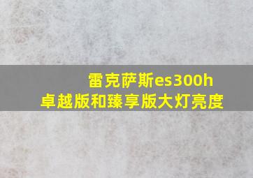 雷克萨斯es300h卓越版和臻享版大灯亮度