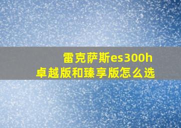 雷克萨斯es300h卓越版和臻享版怎么选