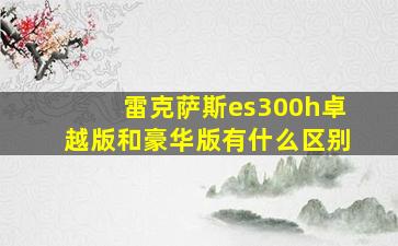 雷克萨斯es300h卓越版和豪华版有什么区别