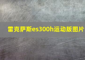 雷克萨斯es300h运动版图片