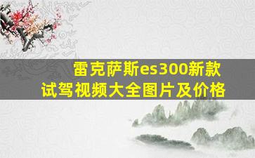 雷克萨斯es300新款试驾视频大全图片及价格