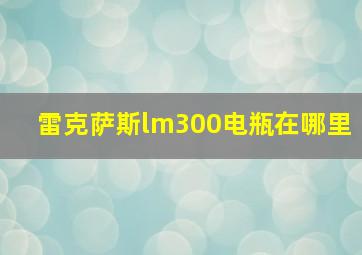 雷克萨斯lm300电瓶在哪里