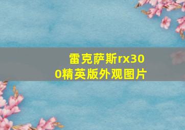 雷克萨斯rx300精英版外观图片