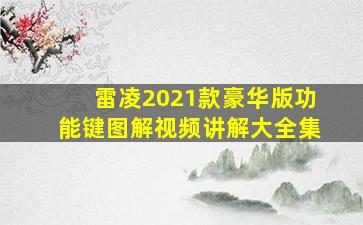 雷凌2021款豪华版功能键图解视频讲解大全集