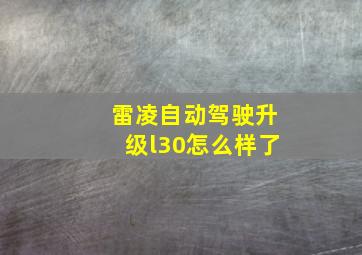 雷凌自动驾驶升级l30怎么样了