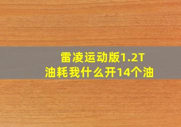 雷凌运动版1.2T油耗我什么开14个油