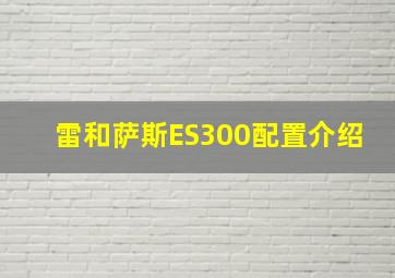 雷和萨斯ES300配置介绍