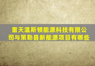 雷天温斯顿能源科技有限公司与策勒县新能源项目有哪些