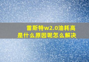 雷斯特w2.0油耗高是什么原因呢怎么解决