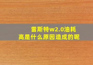 雷斯特w2.0油耗高是什么原因造成的呢