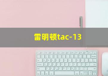 雷明顿tac-13