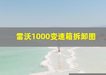 雷沃1000变速箱拆卸图