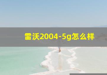 雷沃2004-5g怎么样