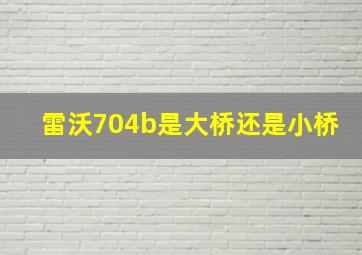 雷沃704b是大桥还是小桥