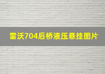 雷沃704后桥液压悬挂图片