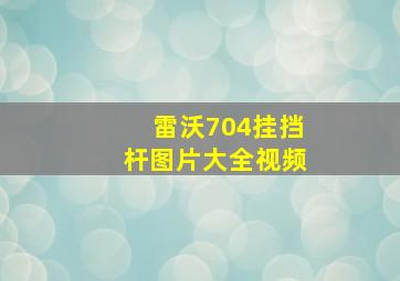 雷沃704挂挡杆图片大全视频