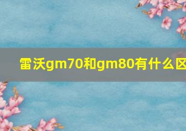 雷沃gm70和gm80有什么区别