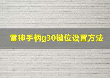 雷神手柄g30键位设置方法