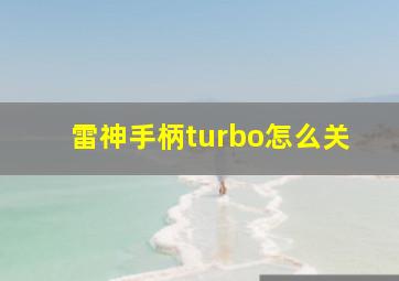 雷神手柄turbo怎么关