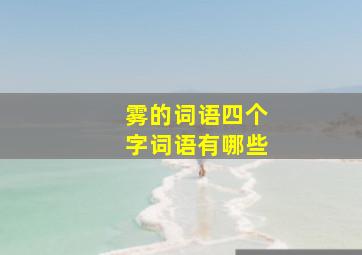 雾的词语四个字词语有哪些