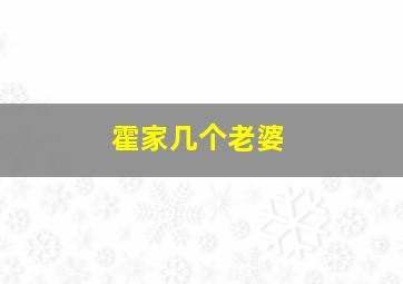 霍家几个老婆