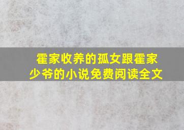 霍家收养的孤女跟霍家少爷的小说免费阅读全文