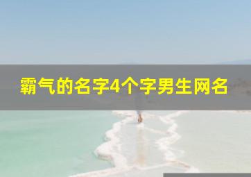 霸气的名字4个字男生网名