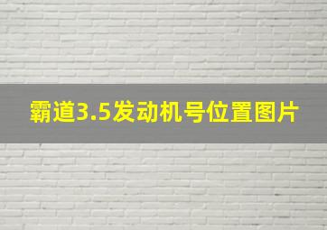 霸道3.5发动机号位置图片