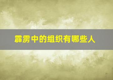 霹雳中的组织有哪些人