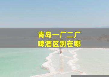 青岛一厂二厂啤酒区别在哪