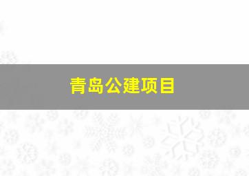 青岛公建项目