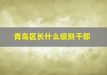 青岛区长什么级别干部