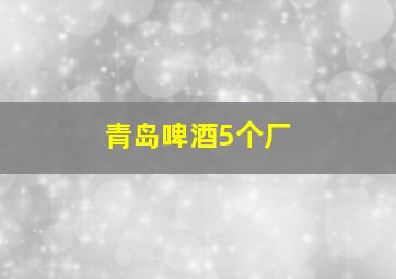 青岛啤酒5个厂