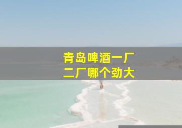 青岛啤酒一厂二厂哪个劲大