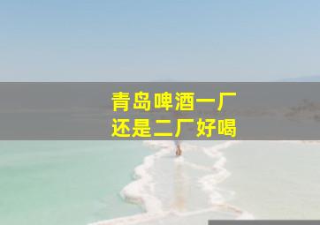 青岛啤酒一厂还是二厂好喝