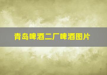 青岛啤酒二厂啤酒图片